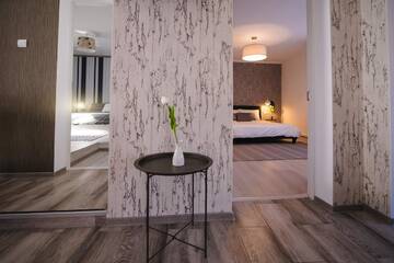 Фото Виллы Casa de Vacanta Cris г. Бэи­ле-Олэ­неш­ти 3