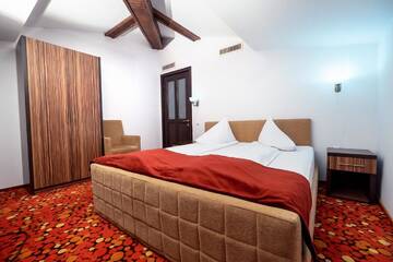 Фото номера Двухместный номер с 1 кроватью в мансарде Отель Hotel Tisa г. Бэи­ле-Олэ­неш­ти 2
