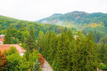 Фото номера Улучшенный двухместный номер с 1 кроватью или 2 отдельными кроватями Отель Hotel Olanesti &amp; Spa Medical г. Бэи­ле-Олэ­неш­ти 7