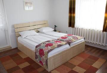 Фото номера Стандартный двухместный номер с 1 кроватью Гостевой дом Vila Tisa г. Бэи­ле-Олэ­неш­ти 23
