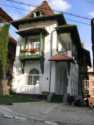 Фото Гостевой дом Casa Olanescu г. Бэи­ле-Олэ­неш­ти